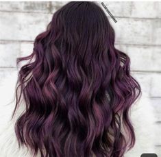 Blackberry Hair, Blackberry Hair Colour, Magenta Hair Colors, Moody Purple, Hair Colors Ideas, Magenta Hair, Dark Purple Hair, Feed In Braid, Trendy Hair Color