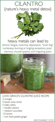 Sweet! A juice detox recipe for a happy, healthy brain | Kristen Arnett Healthy Detox Cleanse, Happy Juice, Detox Juice Recipes, Smoothie Detox, Juicer Recipes, Sweet Recipe, Healthy Juice Recipes, Juicing For Health