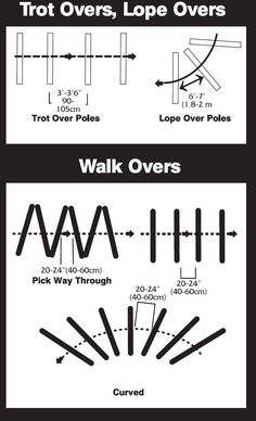 the diagram shows different types of lines and shapes