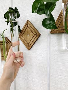 a person holding a glass bottle in front of a wall with some plants on it