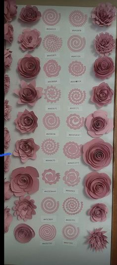 pink paper flowers are displayed on a wall