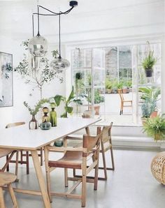 a dining room table with chairs and plants on the wall in front of it, along with potted plants