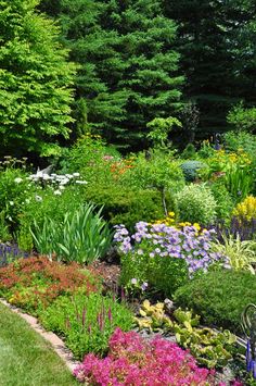 a garden filled with lots of different types of flowers