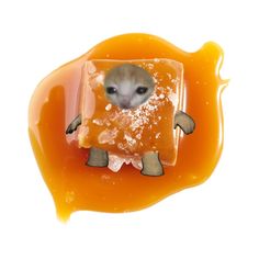 an orange jelly with a mouse in the middle and some sauce on it's side