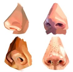 four different types of nose shapes and their corresponding features are shown in this drawing style