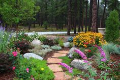 a garden with rocks and flowers in the foreground, surrounded by pine trees on either side