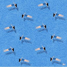 an image of birds swimming in the blue water with ripples on it's surface