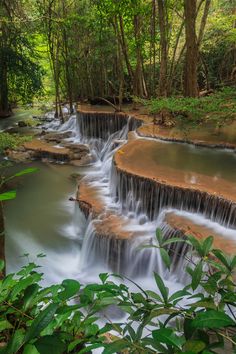 a small waterfall in the middle of a forest with lots of water flowing down it's sides