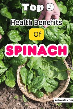 spinach plants growing in the garden with text overlay top 9 health benefits of spinach