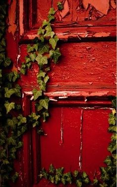 an old red door with ivy growing on it