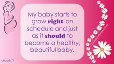 Positive Pregnancy Affirmations, Trimester By Weeks, Pregnancy After Loss, 1st Trimester, Trimesters Of Pregnancy