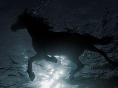 the silhouette of a horse is shown in the water as it's light shines through