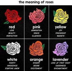 six roses with different colors and words on them