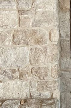 a cat sitting on the ledge of a stone building