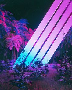 an abstract image of three lines in the middle of plants and trees, with pink and blue light coming from them