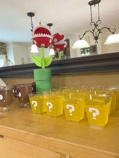 there are many glasses on the counter with question marks in them and a flower sticking out of one