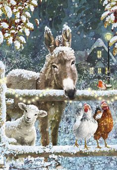 Donkey Lamb Chickens by Snowy Fence Boxed Christmas Cards Charity Christmas Cards, Christmas Donkey, Boxed Christmas Cards, Mosaic Pictures, Beautiful Christmas Cards, Marie Curie, 3d Christmas, Christmas Scenes, Glitter Cards