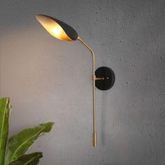 a wall light that is next to a plant