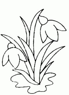 flowers in the water coloring page