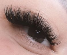 Cat Eye Volume, Eyelashes How To Apply, Volume Russe, Lashes Volume, Manga Lashes, Long Hair Clip, Hair Curlers Rollers