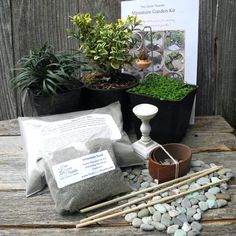 some plants and rocks on a wooden table with a sign in the backround