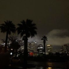 the city skyline is lit up at night, with palm trees and buildings in the background