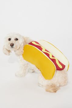 a white dog wearing a hotdog costume on it's back and holding a bag