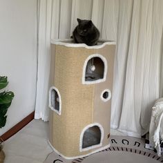 a black cat sitting on top of a scratching tower