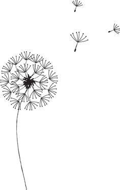 Dandelion Graphic, Dandelion Vector, Cool Drawing, Pencil Drawing Tutorials, Cool Pencil Drawings, Drawing Drawing, Pola Sulam, Stick Figure