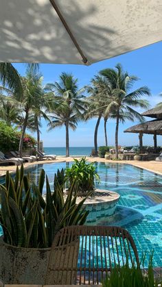 an outdoor swimming pool with palm trees and the ocean in the backgroung