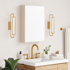 a bathroom with two sinks and gold faucets on the wall next to a plant