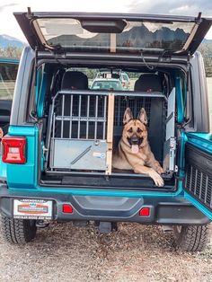 a dog sitting in the back of a blue truck with its door open and his tongue hanging out