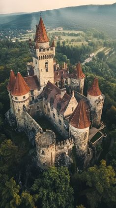 an aerial view of a castle surrounded by trees