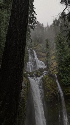 a tall waterfall surrounded by trees on a foggy day