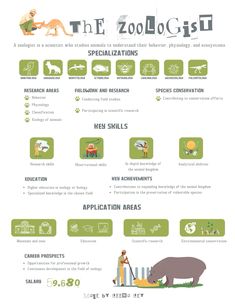 the zoologist's guide to finding and caring for animals infographical poster