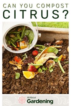 a composting box filled with dirt and vegetables that says, what can i compost?