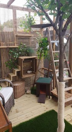 an outdoor area with wooden steps, plants and other things on the ground in it