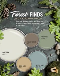 the forest finds paint palette is shown in various shades and sizes, with pine cones on top