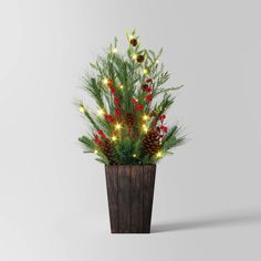 a potted plant with christmas lights on it