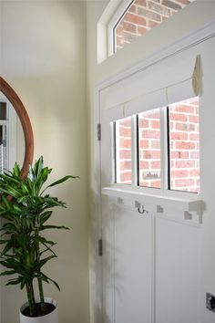 a potted plant sitting in front of a door with a mirror on the wall