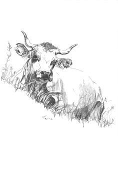 a drawing of a cow laying down in the grass