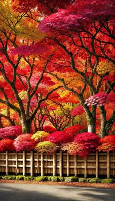 a painting of trees with red and yellow leaves in the fall, behind a wooden fence