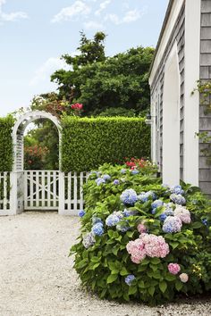 a white picket fence with blue and pink flowers in the foreground next to a house