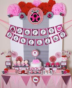 a ladybug birthday party with pink and red decorations