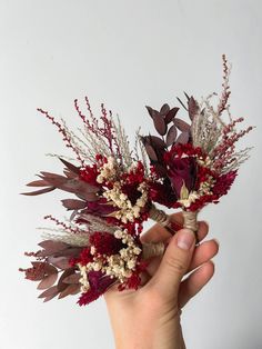 a hand holding a bunch of dried flowers