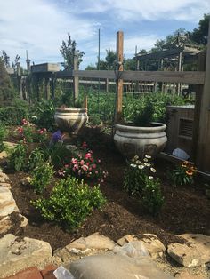 an outdoor garden area with flowers and rocks