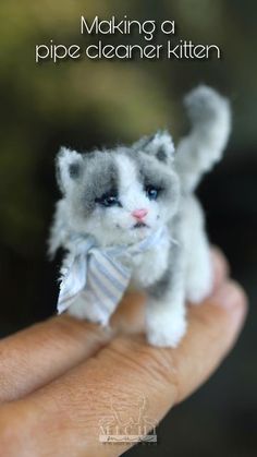 a hand holding a tiny white and gray kitten with a bow on it's head