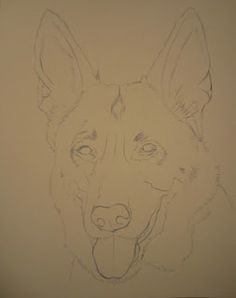 a drawing of a dog's face is shown in this image, it appears to be drawn on the wall