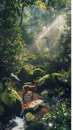 a deer is standing in the middle of a stream surrounded by green plants and rocks