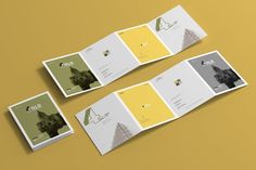 four folded brochures on a yellow background